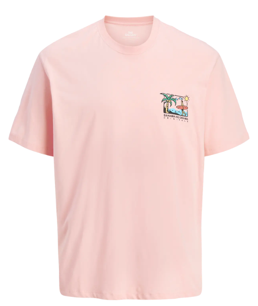 Jack & Jones Tickled Pink Tee