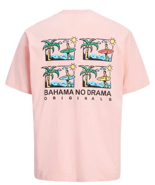 Jack & Jones Tickled Pink Tee